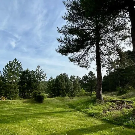 Avec Terrasse Vue Sur Le Parc De Golf 펜션 *